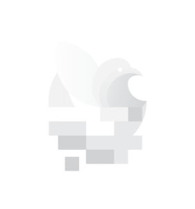 Digital-Birds-logo-white